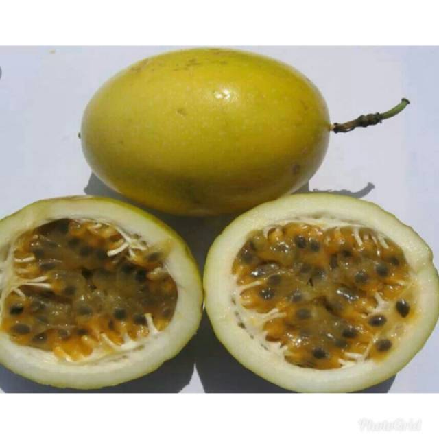 

Buah markisa segar