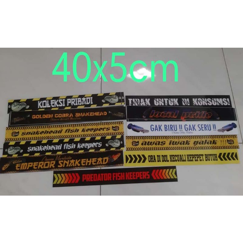 sticker anti air lis atas akuarium stiker iwak galak | Predator Fish  channa