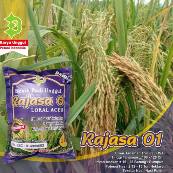 cusss order] Benih Padi Rajasa 01 / Bibit Unggul Rajasa 01