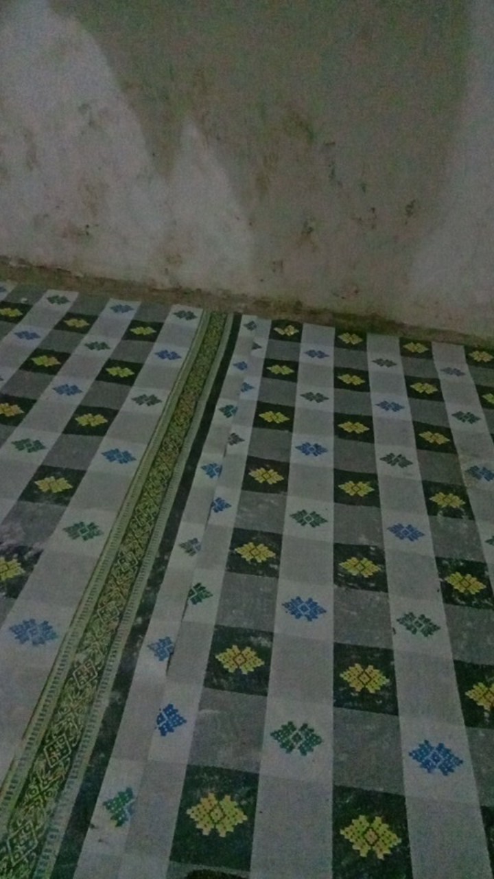 Peking Plastik Klip Serba Guna