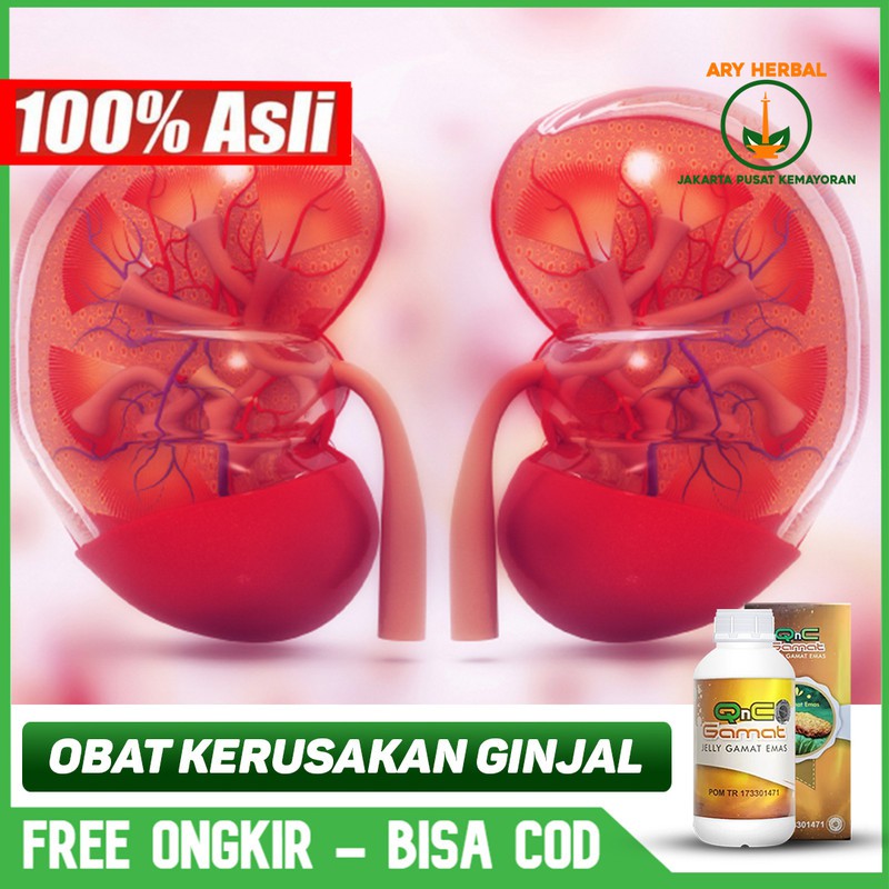 

Obat Kerusakan Ginjal, Gagal Ginjal, Polip / Sakit Ginjal Herbal QnC Jelly Gamat Terlaris Bisa COD