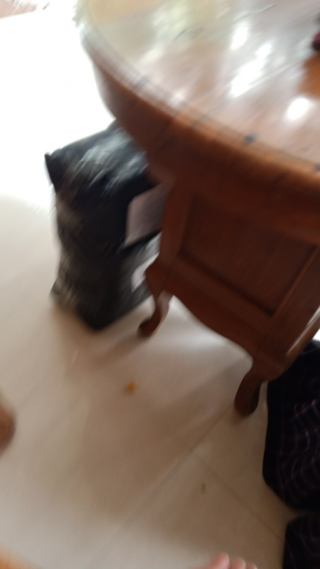 Dispenser Triple Dicanter Oxone Ox 338