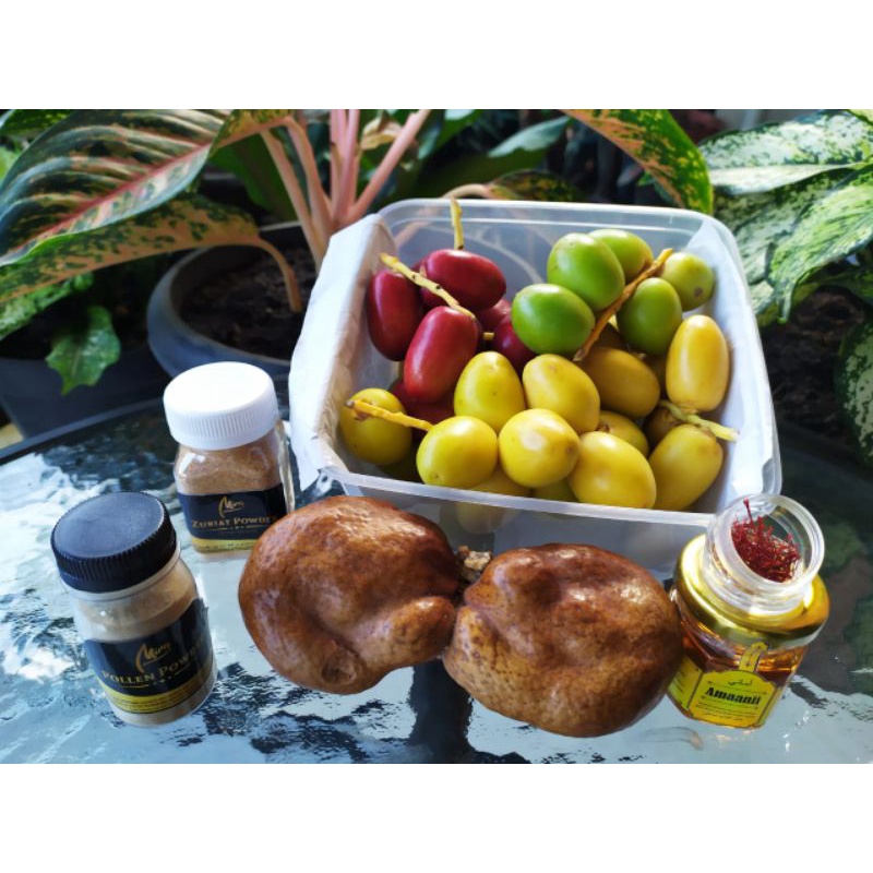 

PAKET JSR ZURIAT KEMBAR ( kurma muda, biji kesuburan, saffron, zuriat)