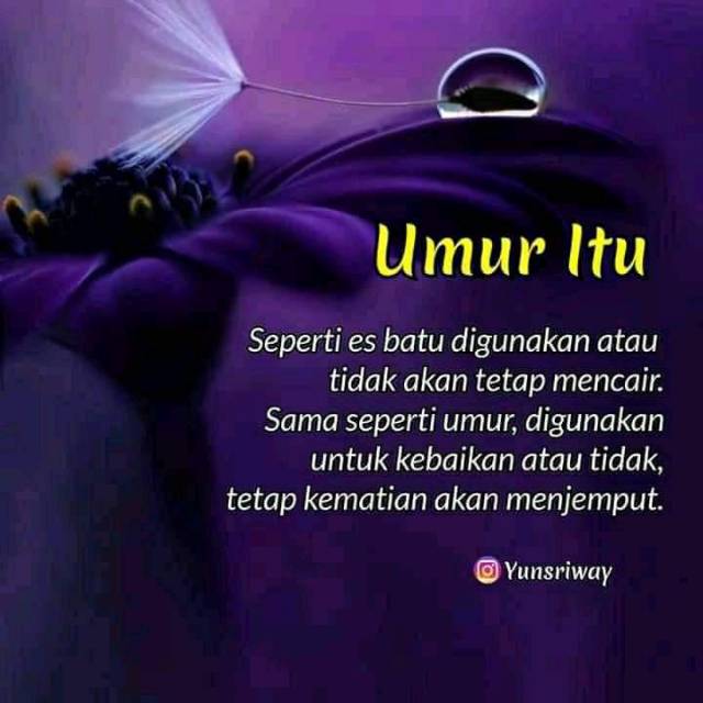 i*****6