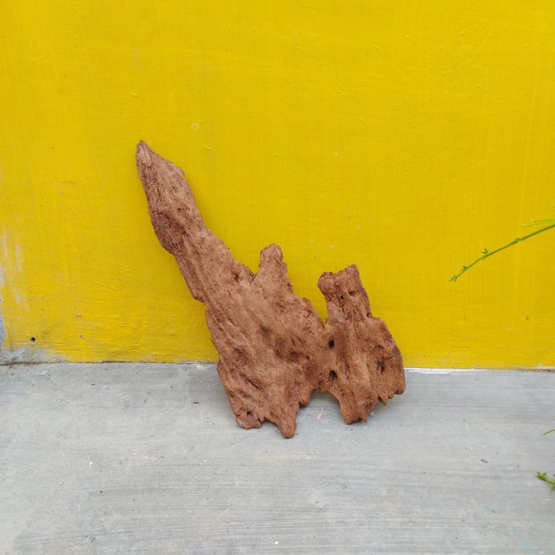 Kayu Rentek hiasan dasar paludarium akuarium aquascape