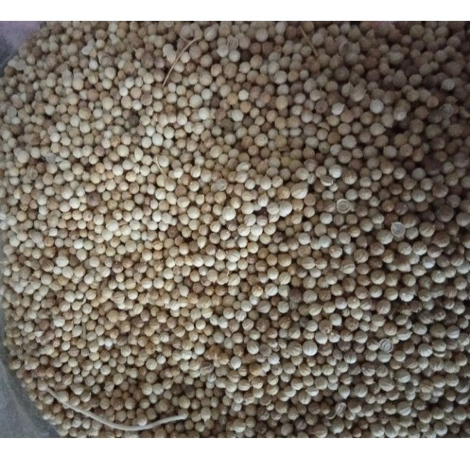 Ketumbar Biji/ketumbar biji putih/ketumbar biji asli 100g