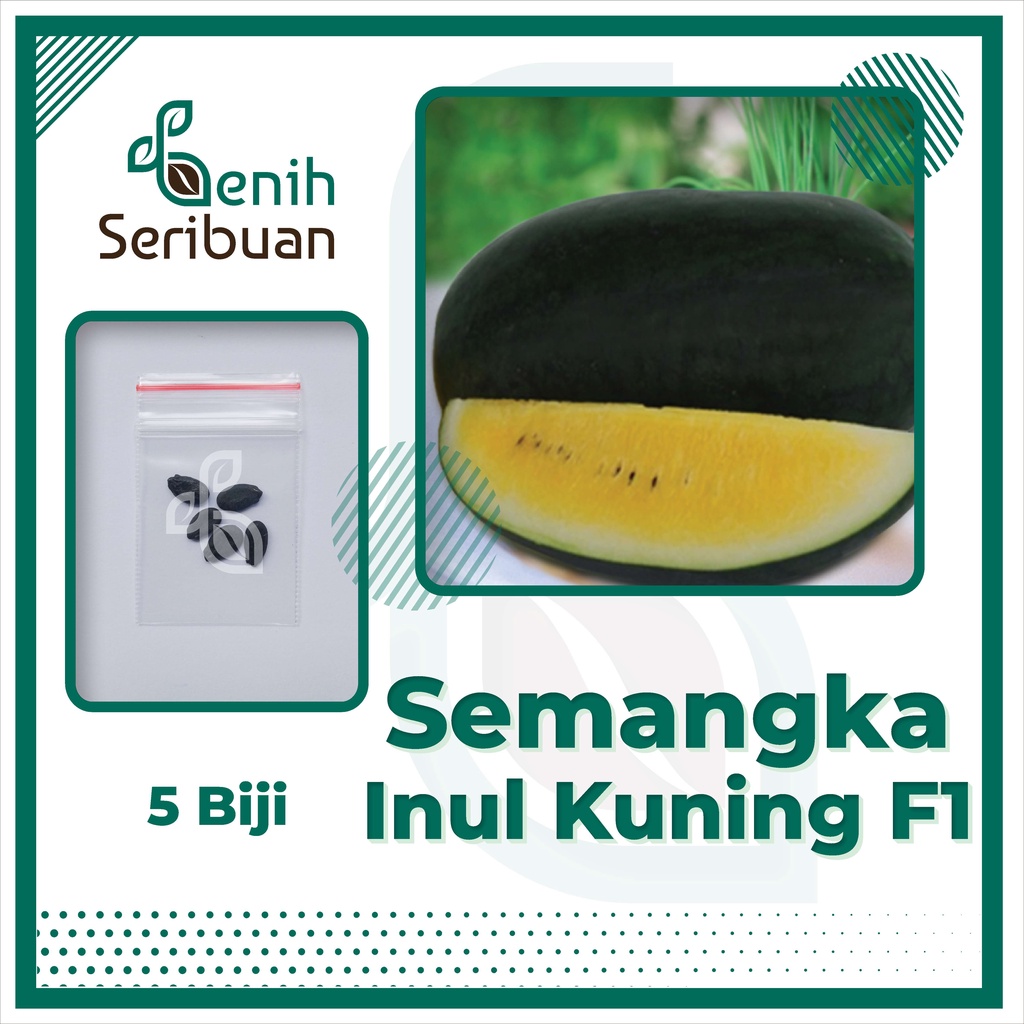 BS-BYL Benih Buah Bibit Tanaman Buah F1 Hibrida Unggul Anggur Strawberry Semangka Melon Labu Pepaya Jambu Blackberry Ciplukan Raspberry dll-SEMANGKA INUL KUNING