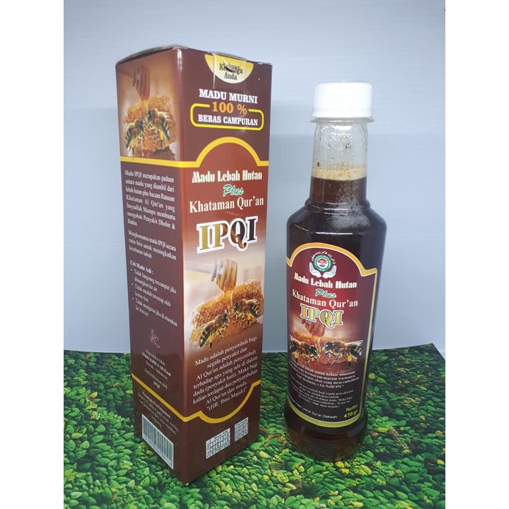 

Madu Asli Murni Tanpa Bahan Campuran Dari Lebah Hutan Liar Indonesia