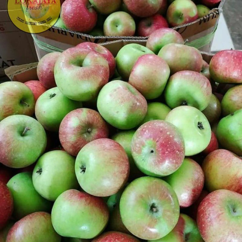 Apel Manalagi 1 Kg | Apel Malang 1 Kg