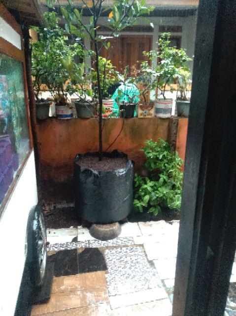 Planter Bag 150 Liter (pet) Hitam , Diameter 60cm Tinggi 54cm