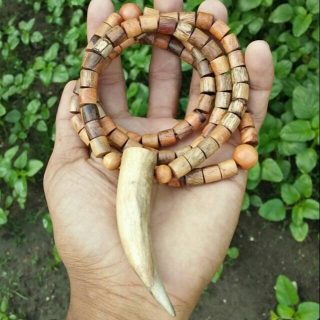 Tasbih kalung kayu bertuah klampis kombinasi liontin taring palsu