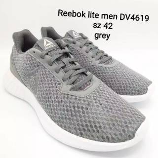 dv4619