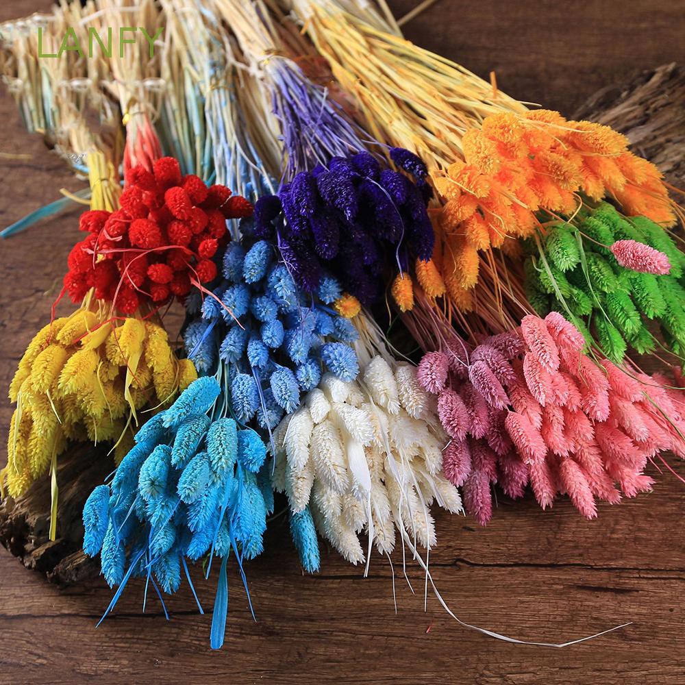 Lanfy Bunga Kering Artifisial untuk Dekorasi Rumah / Taman