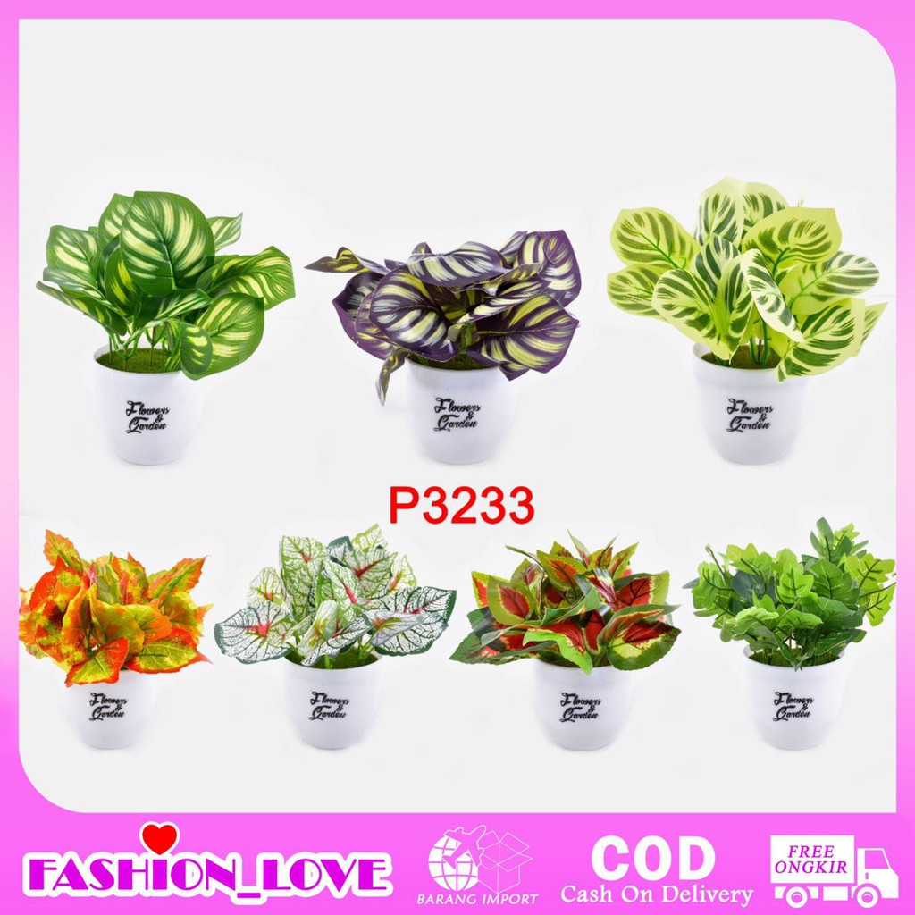 HMPU TANAMAN HIAS TANAMAN DAUN PLASTIK TANAMAN HIAS RUMAH BUNGA HIAS BUNGA PLASTIK BUNGA P3233