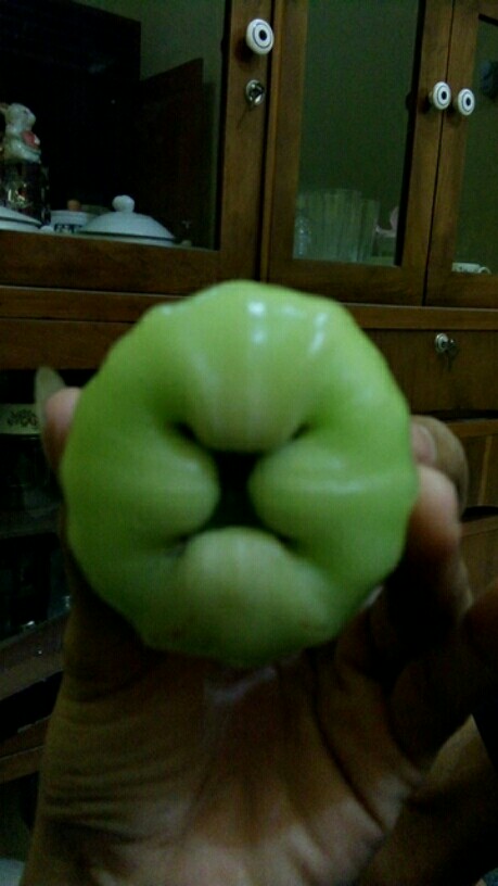 Tutup Baut L Gold Tutup Baut Variasi Motor Monel Baut Cover Baut Probolt Kondom Baut Varias