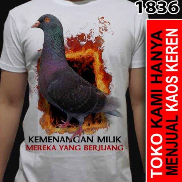 Kaos 3d Burung Merpati Dara Aduan 4 Shopee Indonesia