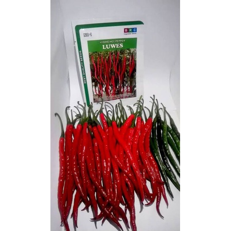 Benih cabe kriting Luwes F1/10 gram