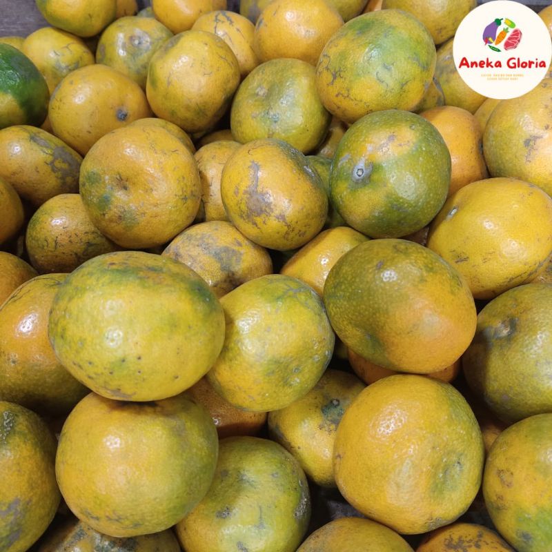 

Buah Jeruk Medan Segar 500 gr - 1 KG