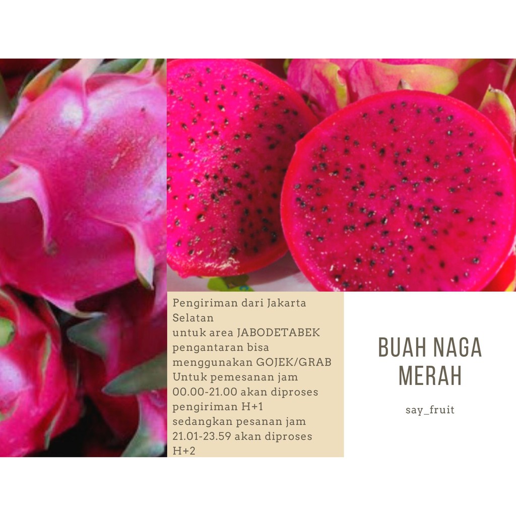 

Buah Naga 1kg / Buah Naga Premium / Dragon Fruit Fresh /