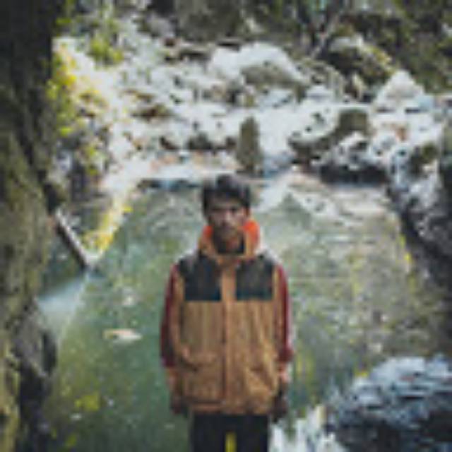 thebornean