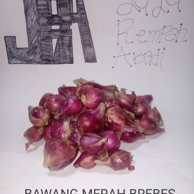 

Bawang merah