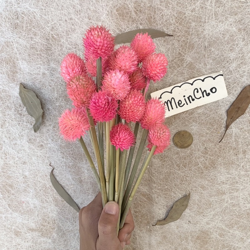 (20 tangkai) GROSIR Bunga Kering STRAWBERRY FLOWER Bulat Flower Aesthetic Dekorasi Rustik