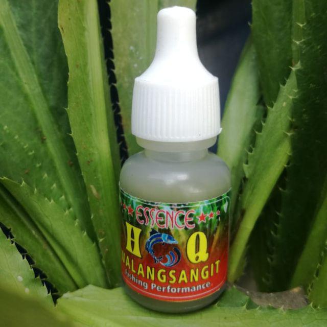 Essence Hq Walang Sangit Shopee Indonesia