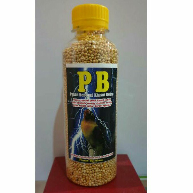 PB Pakan Kencang Buat LoveBird Betina Jebol Birahi