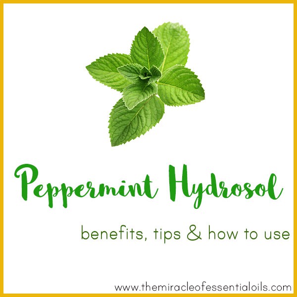 1Liter PEPPERMINT HYDROSOL