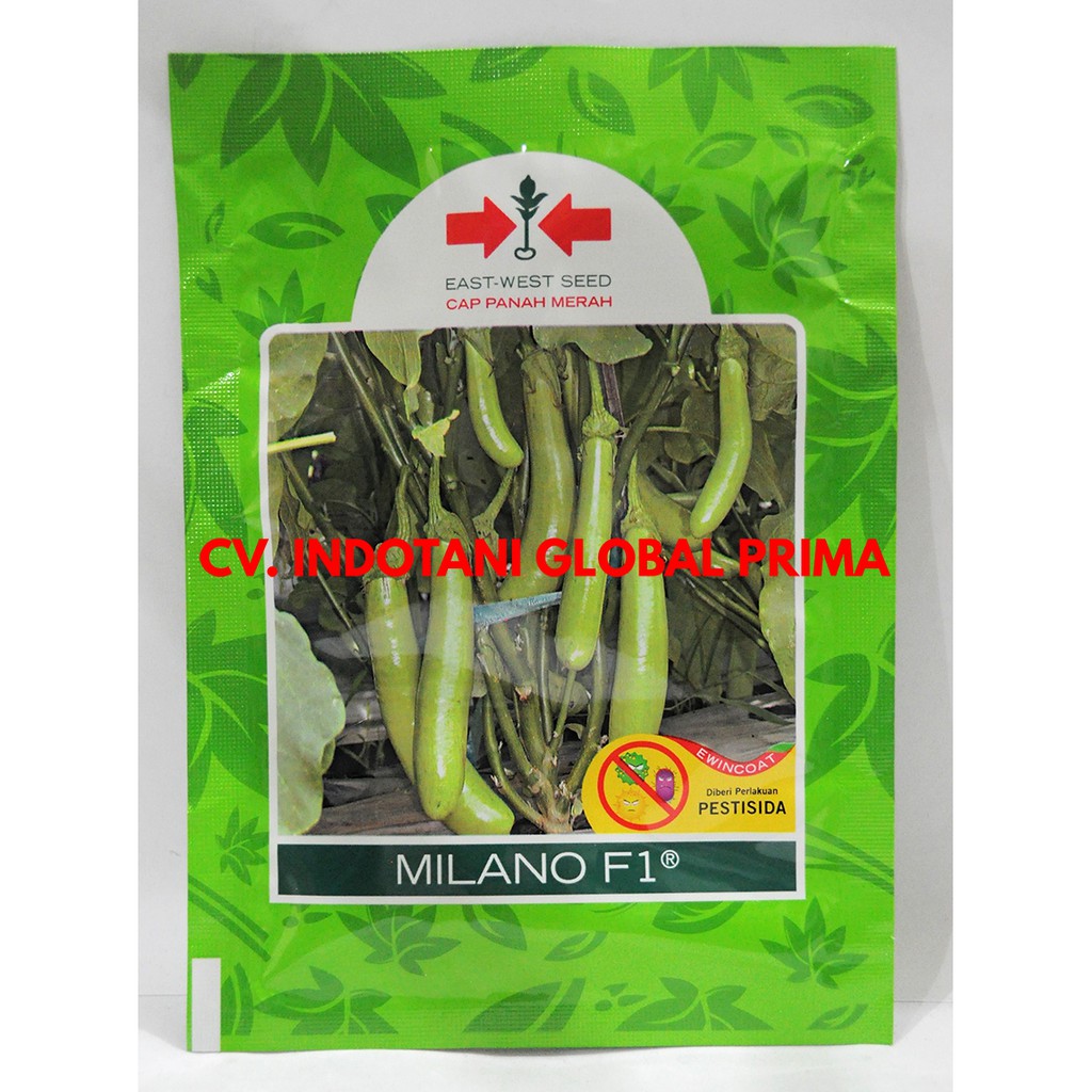 Benih Terong Hijau MILANO F1 1100 butir - Panah Merah
