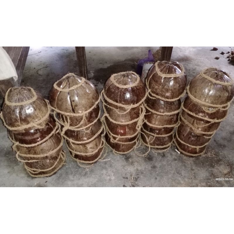pot gantung kulit kelapa alami