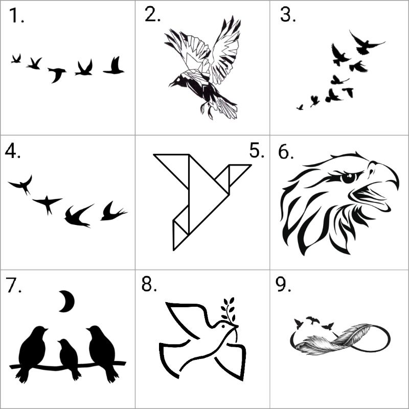 430 Gambar Burung Aesthetic HD Terbaik