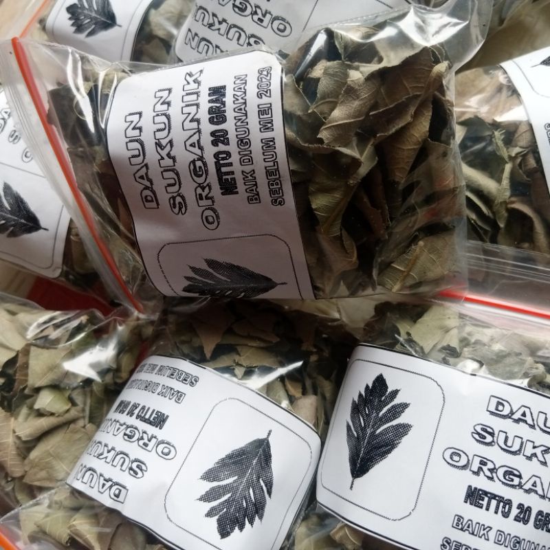 Daun Sukun Kering Organik 20 Gram Siap Seduh