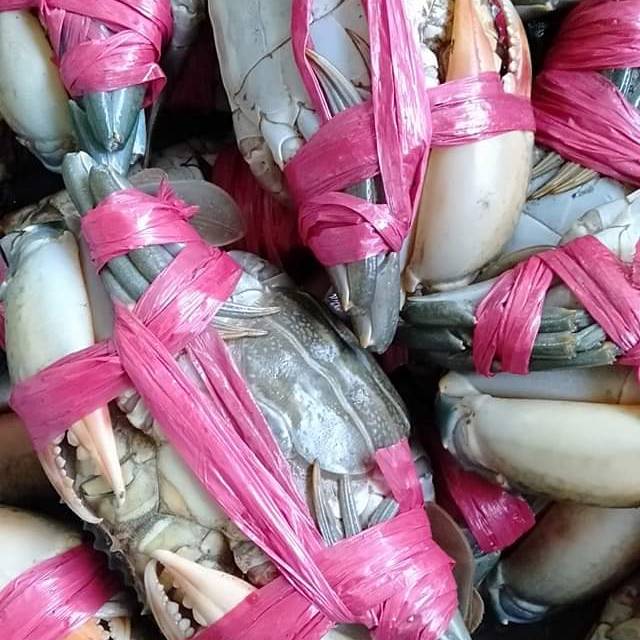 egissufiyatullohsufiya