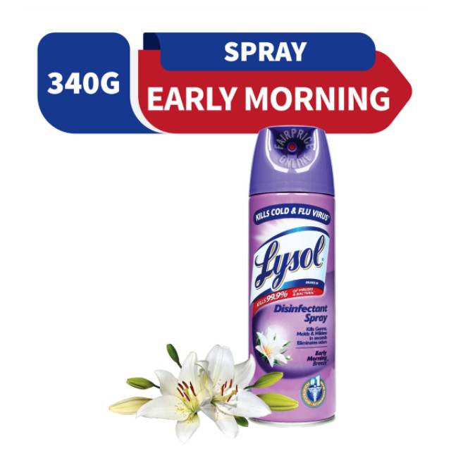 Lysol Disinfectant Spray 340gr - Malay
