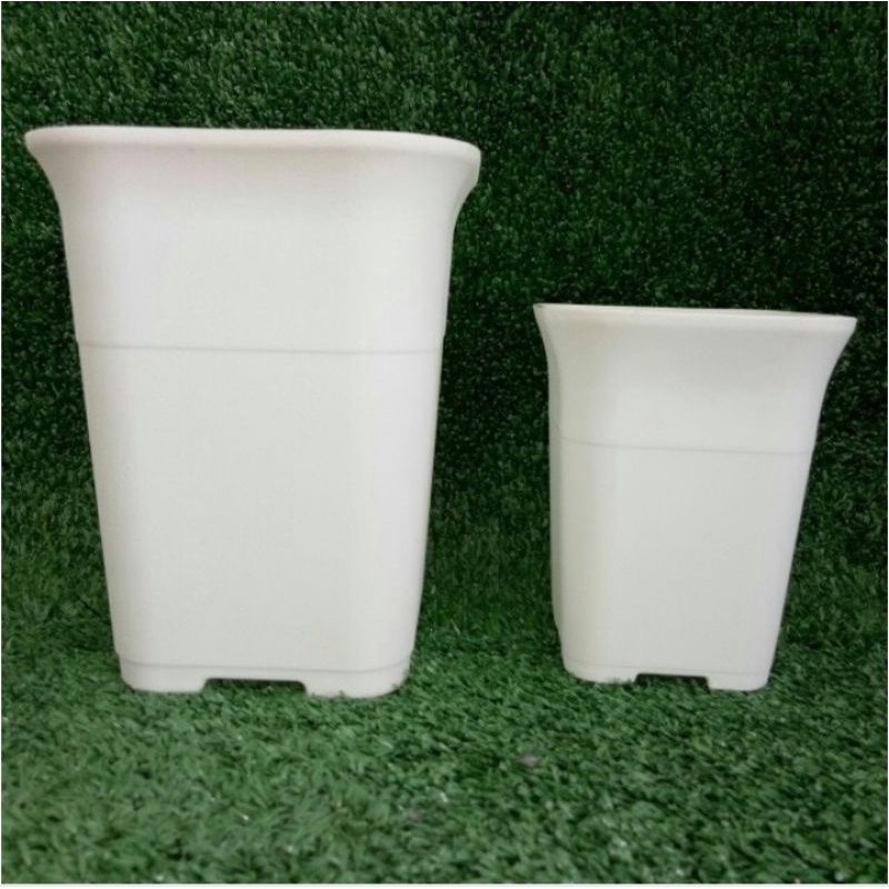 POT TANAMAN | POT 12cm | POT PLASTIK | POT NKT | POT KOTAK PUTIH