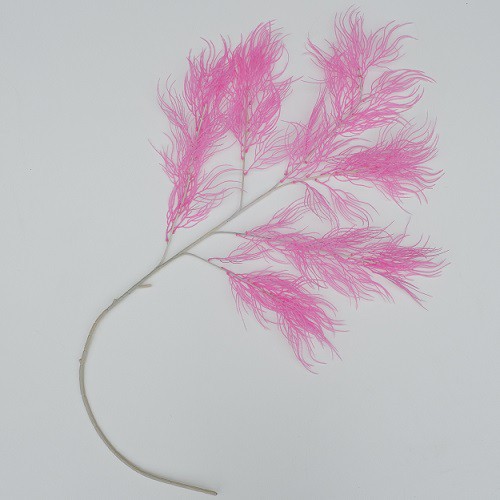 WANFLOWER Bunga Fox Tail X6 * PINK