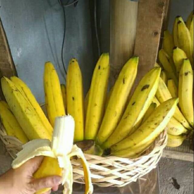 

BUAH PISANG AMBON SUPER 1 SISIR