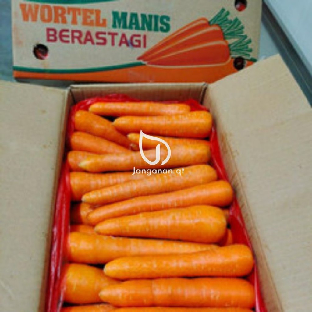 

Wortel brastagi / wortel import 1 dus berat 10 kg janganan qt