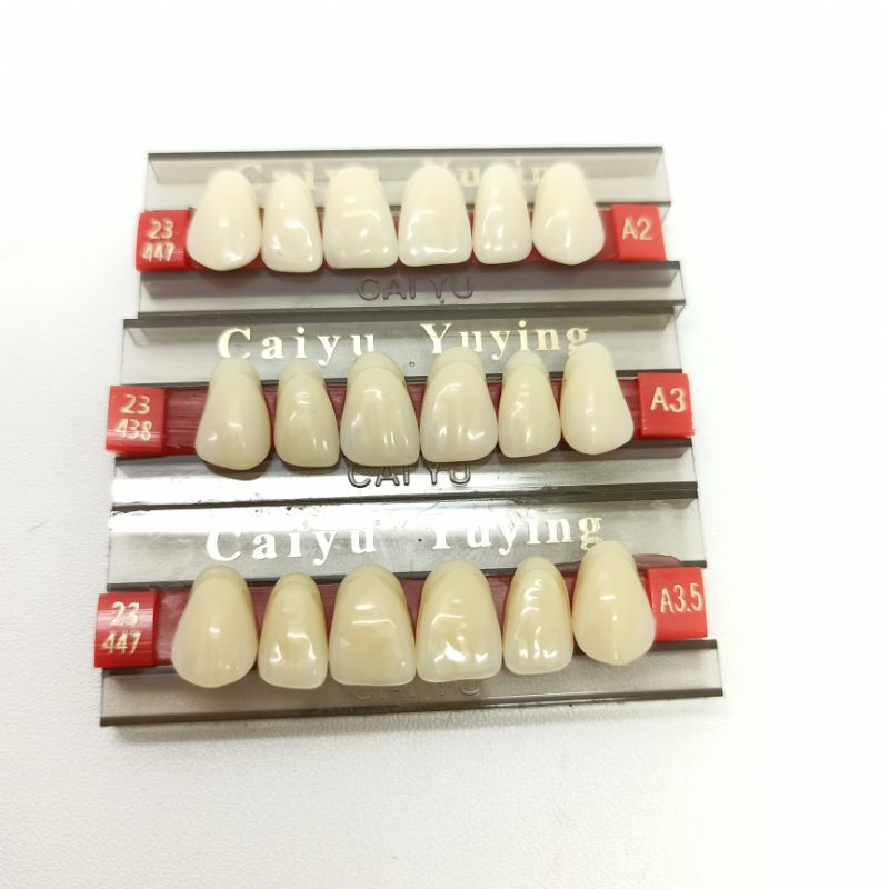 gigi palsu acrylic anterior depan syntetic CAIYU