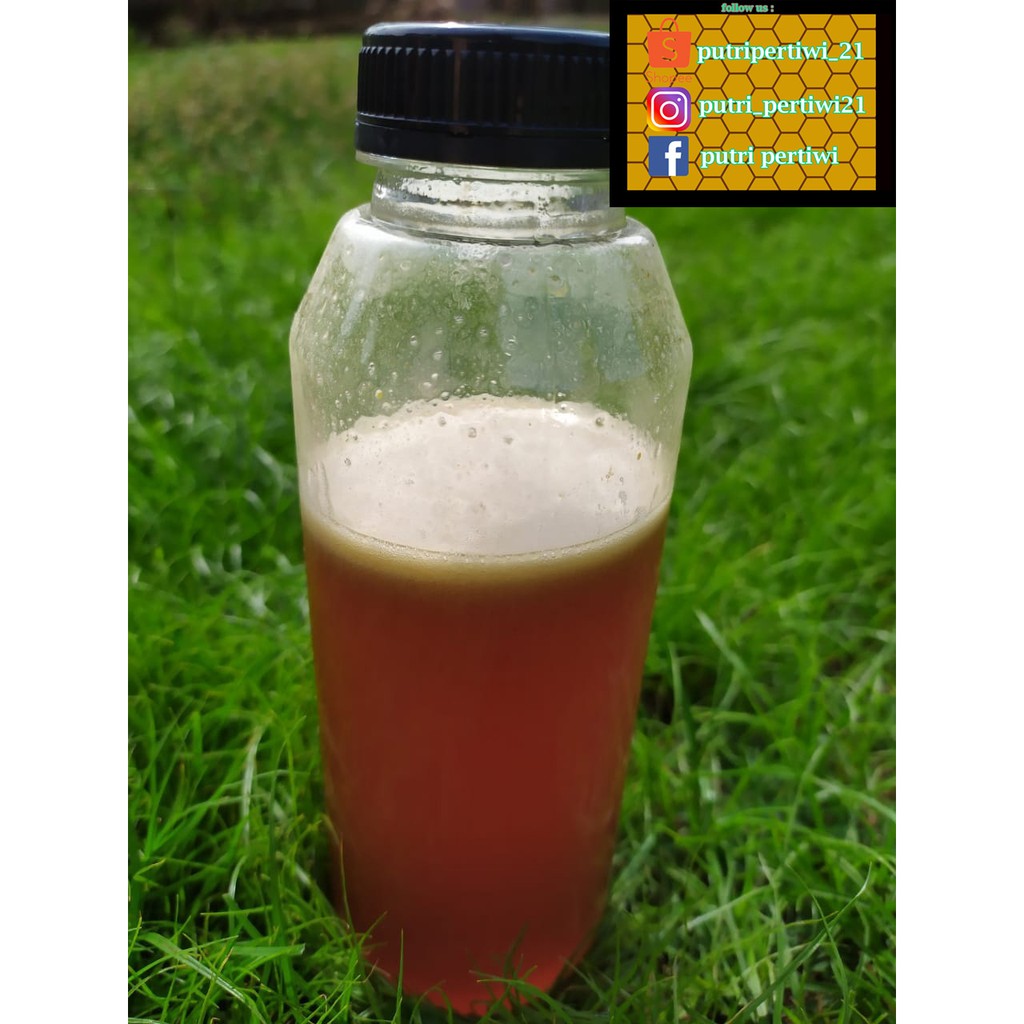 

Madu Hutan Pesawaran Lampung 575 gr Botol Kale