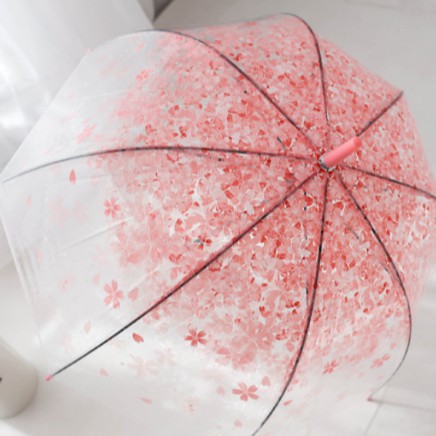 Transparent Umbrella / Payung Plastik Transparan