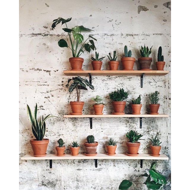 Pot Terakota Polos Natural / Vas Tanah liat / Cover Pot Gerabah Sukulen / Aesthetic Decor / Pot Bung