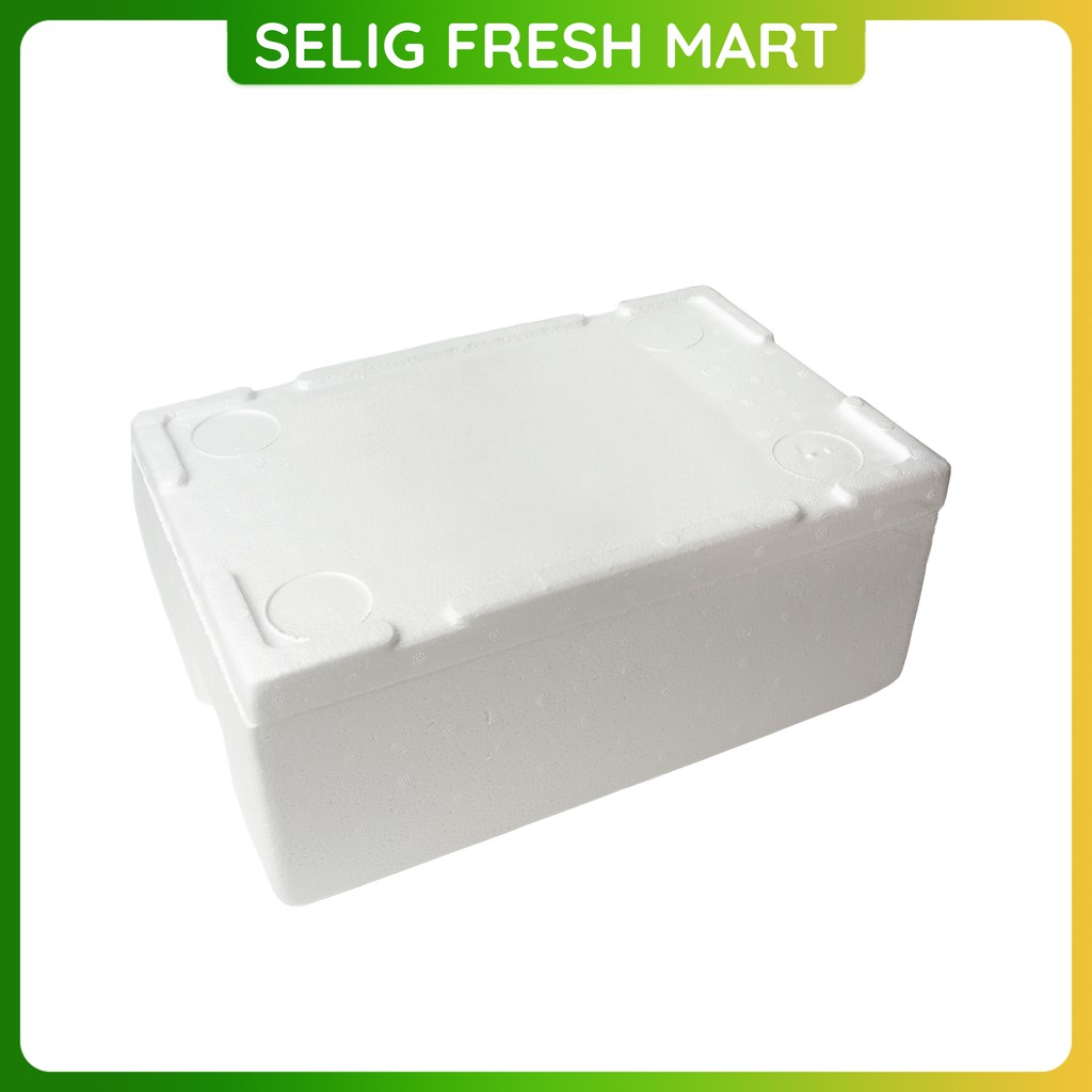 Packing Box Styrofoam & Es Batu