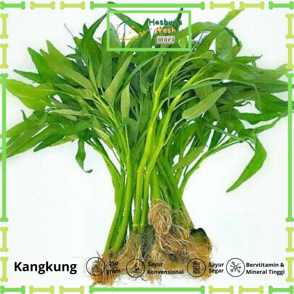 

Kangkung 250 Gram Konvensional HASBUNA Fresh Mart | Bergaransi