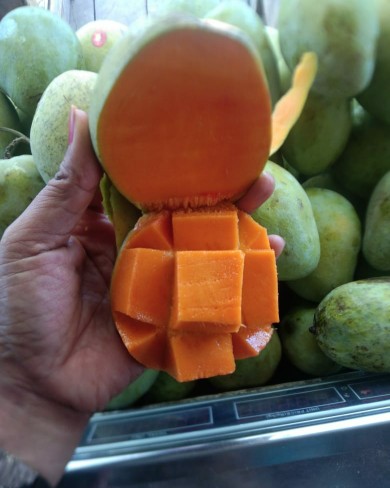 [isi 3 Pcs] Keranjang Parsel Buah