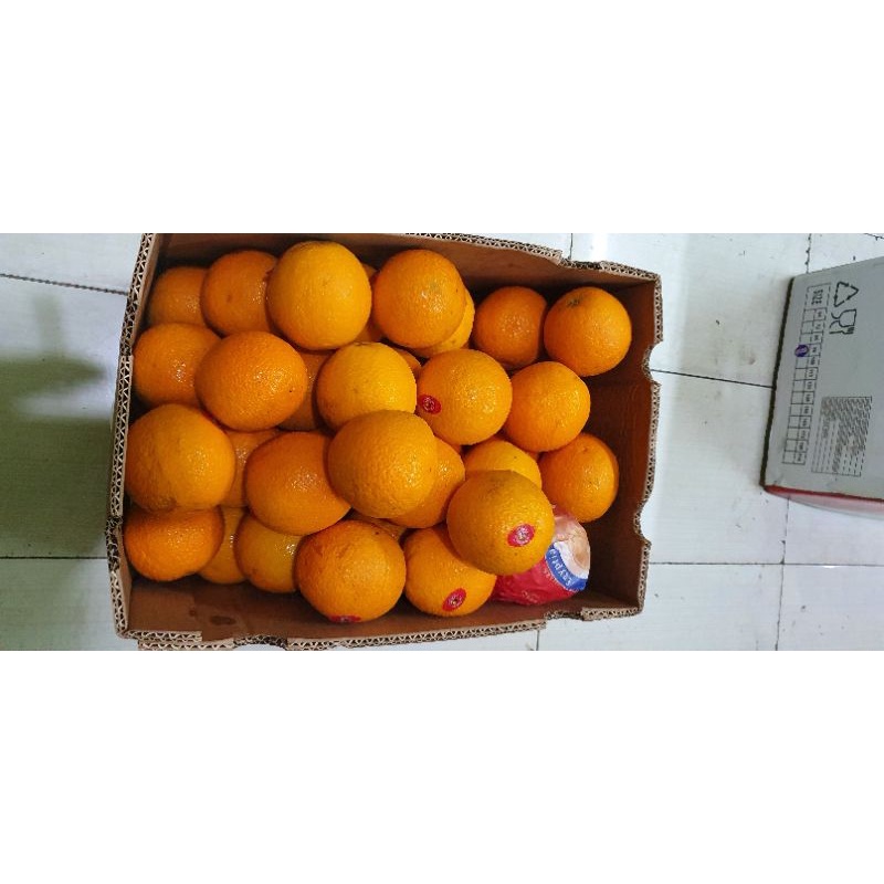 

jeruk sankist 500gram