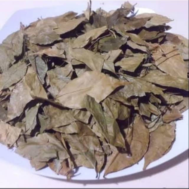 

Obat Rempah Herbal Daun Kemuning Kering Asli & murah 1/2 kilo