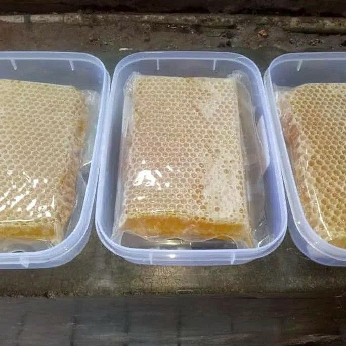 

[BISA BAYAR DITEMPAT] Madu sarang / honey comb madu sarang asli BIG SALE Kode 469