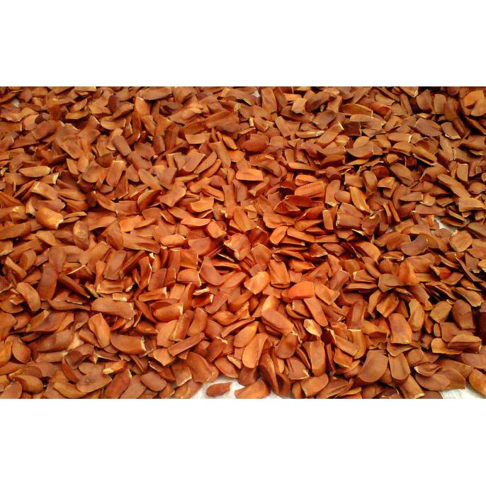 BIJI MAHONI 1 kg Rp. 35.000